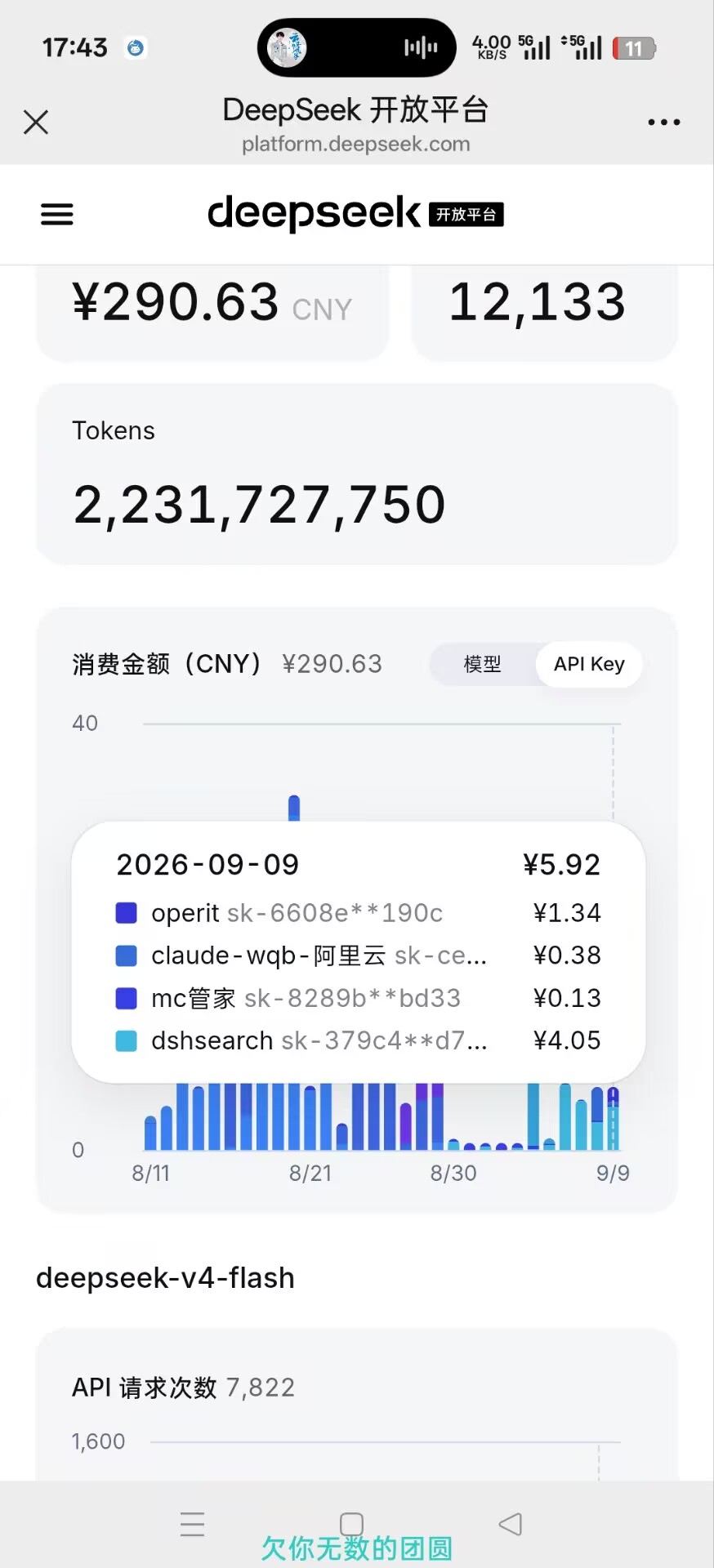 DeepSeek 开放平台用量